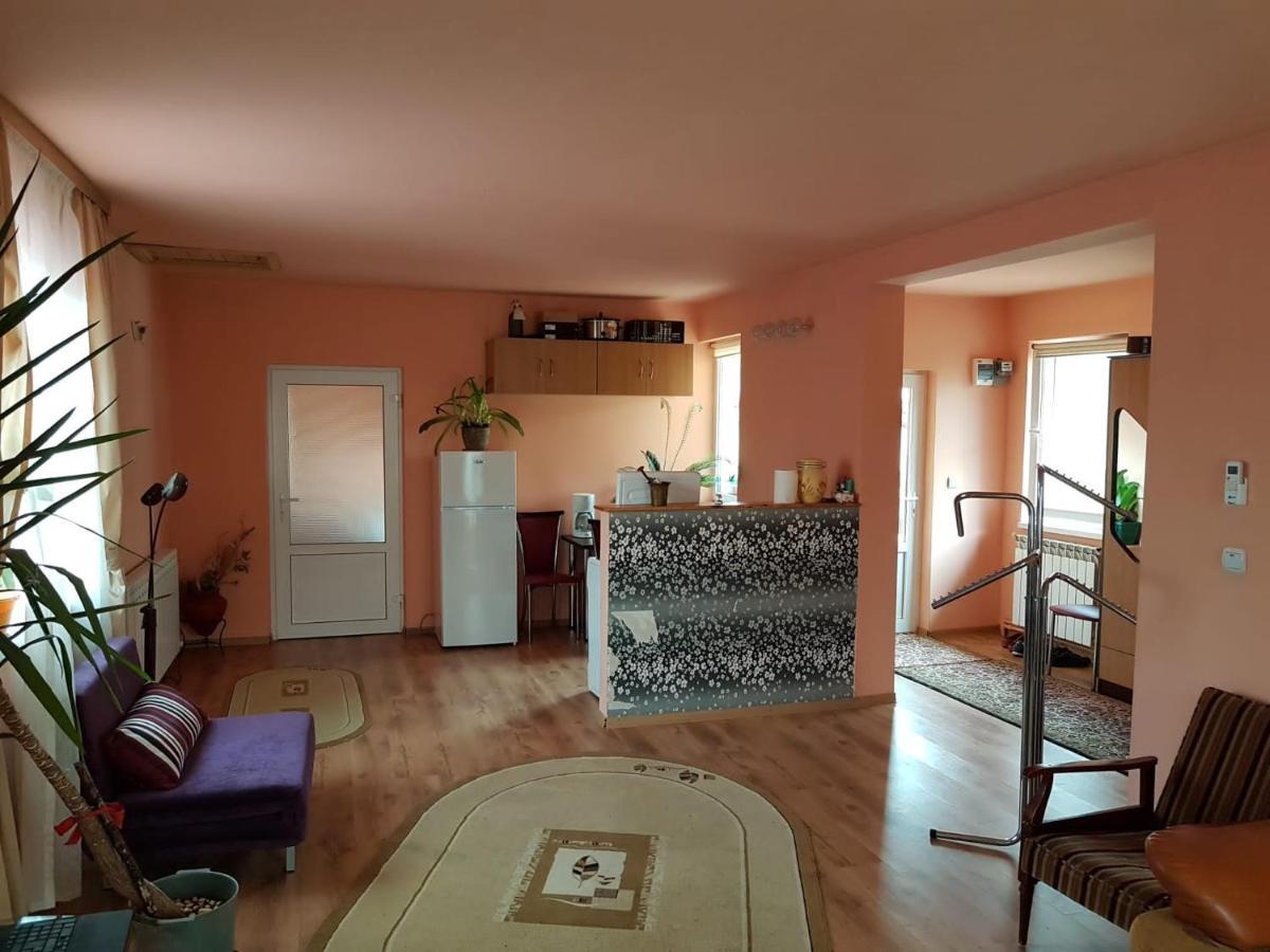 Sasha's Place Apartment Constanta