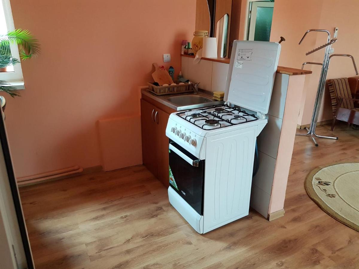 Sasha's Place Apartment