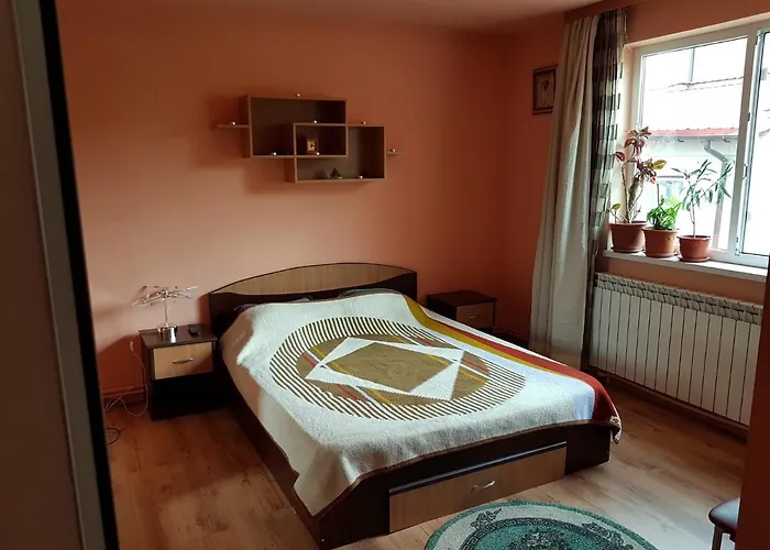 Sasha\'S Place