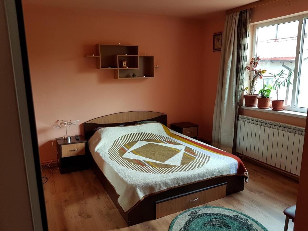 Sasha's Place Apartment